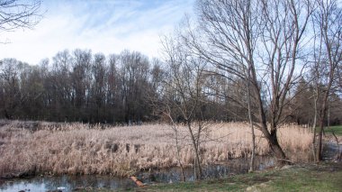 Bulgaristan 'ın Sofya kentindeki South Park' ın bahar manzarası