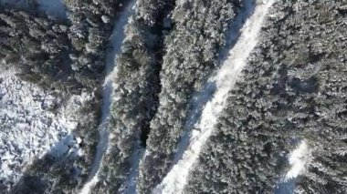 Bulgaristan 'ın Sofya Bölgesi Beli Iskar nehri yakınlarındaki Rila Dağı' nın kış manzarası