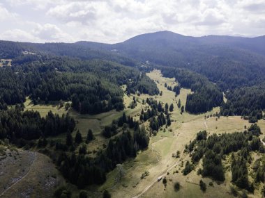 Bulgaristan 'ın Filibe Bölgesi, Otantik 19. yüzyıl evleriyle Lilkovo Köyü' nün inanılmaz manzarası