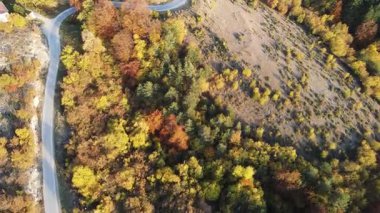 Bulgaristan 'ın Filibe Bölgesi Borovo kasabası yakınlarındaki Rodop dağının şaşırtıcı sonbahar manzarası