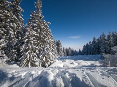 Bulgaristan 'ın Sofya Şehir Bölgesi, Vitosha Dağı' nın İnanılmaz Kış Panoraması