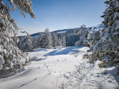 Bulgaristan 'ın Sofya Şehir Bölgesi, Vitosha Dağı' nın İnanılmaz Kış Panoraması