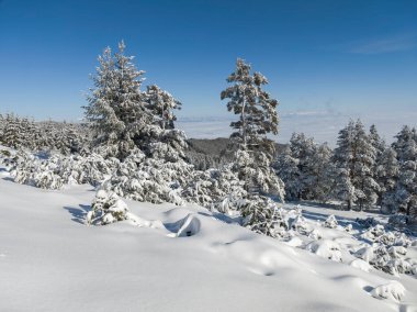 Bulgaristan 'ın Sofya Şehir Bölgesi, Vitosha Dağı' nın İnanılmaz Kış Panoraması