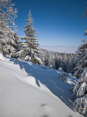 Bulgaristan 'ın Sofya Şehir Bölgesi, Vitosha Dağı' nın İnanılmaz Kış Panoraması