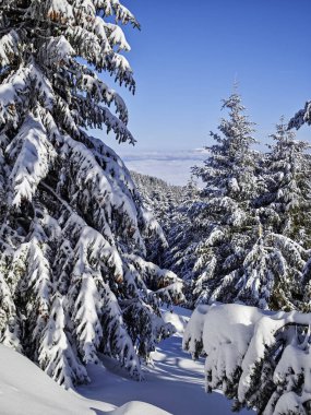Bulgaristan 'ın Sofya Şehir Bölgesi, Vitosha Dağı' nın İnanılmaz Kış Panoraması