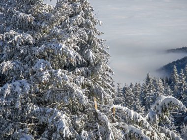 Bulgaristan 'ın Sofya Şehir Bölgesi, Vitosha Dağı' nın İnanılmaz Kış Panoraması
