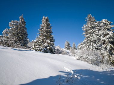 Bulgaristan 'ın Sofya Şehir Bölgesi, Vitosha Dağı' nın İnanılmaz Kış Panoraması