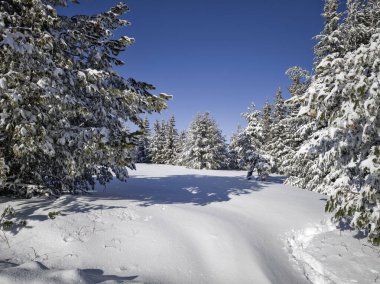 Bulgaristan 'ın Sofya Şehir Bölgesi, Vitosha Dağı' nın İnanılmaz Kış Panoraması