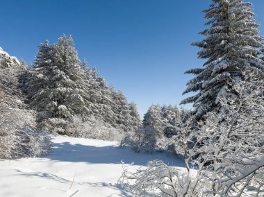 Bulgaristan 'ın Sofya Şehir Bölgesi, Vitosha Dağı' nın İnanılmaz Kış Panoraması