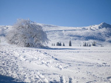 Bulgaristan 'ın Sofya Şehir Bölgesi, Vitosha Dağı' nın İnanılmaz Kış Panoraması