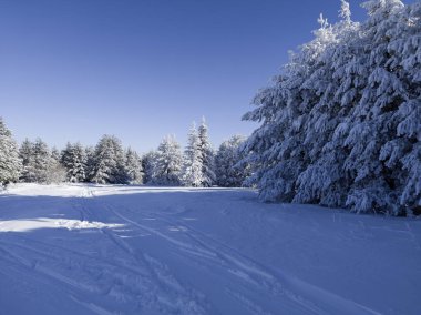Bulgaristan 'ın Sofya Şehir Bölgesi, Vitosha Dağı' nın İnanılmaz Kış Panoraması