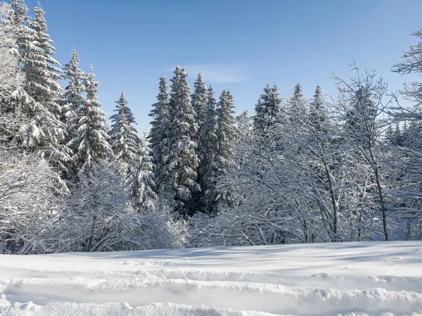 Bulgaristan 'ın Sofya Şehir Bölgesi, Vitosha Dağı' nın İnanılmaz Kış Panoraması