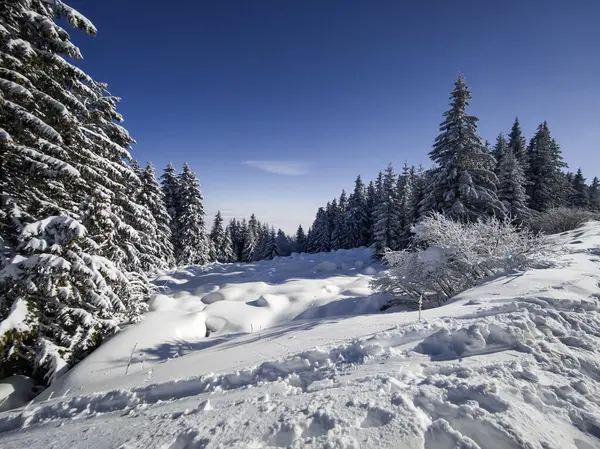 Bulgaristan 'ın Sofya Şehir Bölgesi, Vitosha Dağı' nın İnanılmaz Kış Panoraması