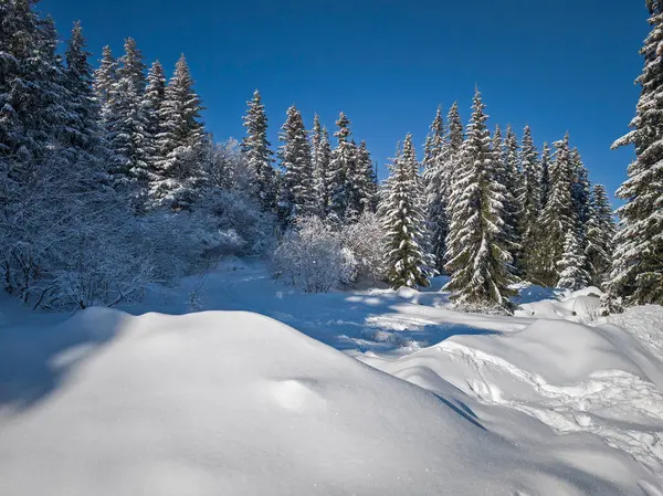 Bulgaristan 'ın Sofya Şehir Bölgesi, Vitosha Dağı' nın İnanılmaz Kış Panoraması