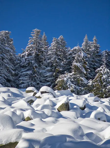Bulgaristan 'ın Sofya Şehir Bölgesi, Vitosha Dağı' nın İnanılmaz Kış Panoraması