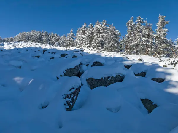 Bulgaristan 'ın Sofya Şehir Bölgesi, Vitosha Dağı' nın İnanılmaz Kış Panoraması