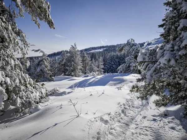 Bulgaristan 'ın Sofya Şehir Bölgesi, Vitosha Dağı' nın İnanılmaz Kış Panoraması