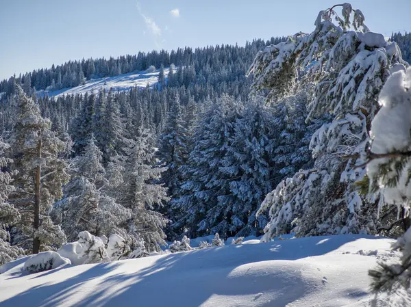 Bulgaristan 'ın Sofya Şehir Bölgesi, Vitosha Dağı' nın İnanılmaz Kış Panoraması