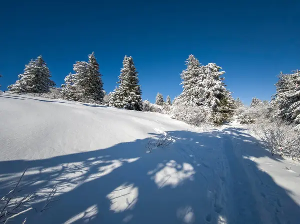 Bulgaristan 'ın Sofya Şehir Bölgesi, Vitosha Dağı' nın İnanılmaz Kış Panoraması