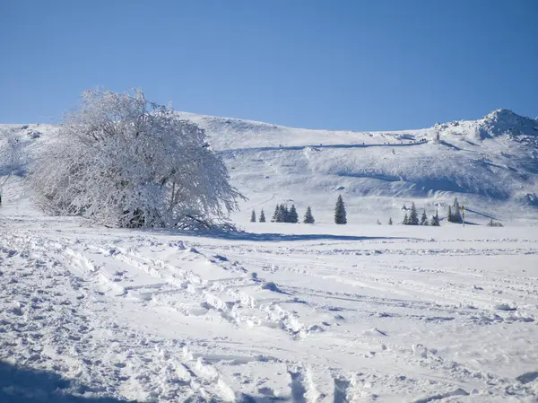 Bulgaristan 'ın Sofya Şehir Bölgesi, Vitosha Dağı' nın İnanılmaz Kış Panoraması