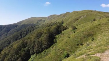 Bulgaristan 'ın Blagoevgrad bölgesindeki Kongur tepesi etrafındaki Belasitsa Dağı' nın havadan yaz manzarası