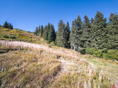 Bulgaristan 'ın Vitosha Dağı' nın şaşırtıcı sonbahar manzarası
