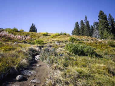 Bulgaristan 'ın Vitosha Dağı' nın şaşırtıcı sonbahar manzarası