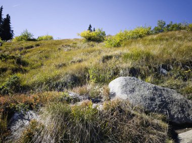 Bulgaristan 'ın Vitosha Dağı' nın şaşırtıcı sonbahar manzarası