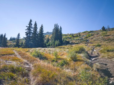 Bulgaristan 'ın Vitosha Dağı' nın şaşırtıcı sonbahar manzarası