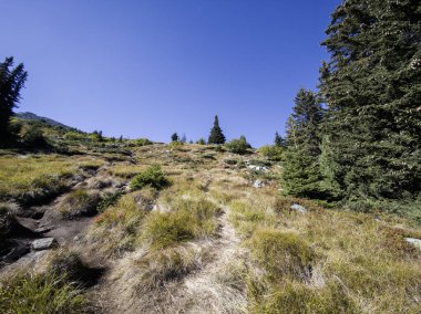Bulgaristan 'ın Vitosha Dağı' nın şaşırtıcı sonbahar manzarası