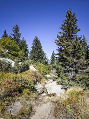 Bulgaristan 'ın Vitosha Dağı' nın şaşırtıcı sonbahar manzarası