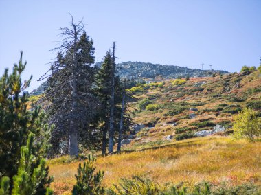 Bulgaristan 'ın Vitosha Dağı' nın şaşırtıcı sonbahar manzarası