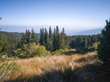 Bulgaristan 'ın Vitosha Dağı' nın şaşırtıcı sonbahar manzarası