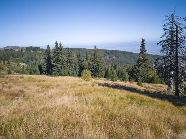 Bulgaristan 'ın Vitosha Dağı' nın şaşırtıcı sonbahar manzarası