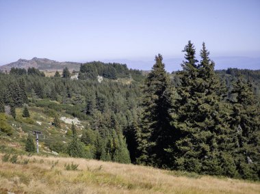 Bulgaristan 'ın Vitosha Dağı' nın şaşırtıcı sonbahar manzarası