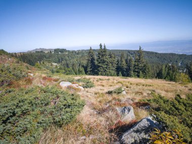 Bulgaristan 'ın Vitosha Dağı' nın şaşırtıcı sonbahar manzarası