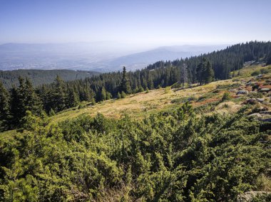 Bulgaristan 'ın Vitosha Dağı' nın şaşırtıcı sonbahar manzarası