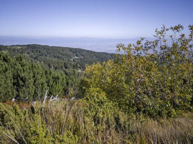 Bulgaristan 'ın Vitosha Dağı' nın şaşırtıcı sonbahar manzarası