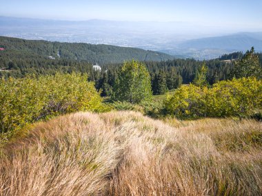 Bulgaristan 'ın Vitosha Dağı' nın şaşırtıcı sonbahar manzarası