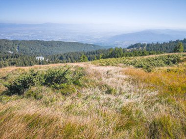 Bulgaristan 'ın Vitosha Dağı' nın şaşırtıcı sonbahar manzarası