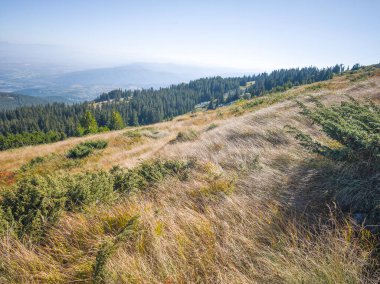 Bulgaristan 'ın Vitosha Dağı' nın şaşırtıcı sonbahar manzarası