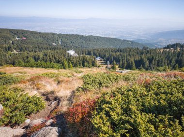 Bulgaristan 'ın Vitosha Dağı' nın şaşırtıcı sonbahar manzarası