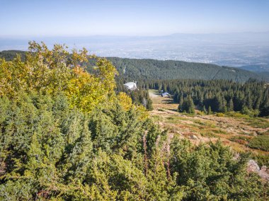 Bulgaristan 'ın Vitosha Dağı' nın şaşırtıcı sonbahar manzarası
