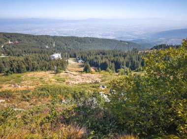 Bulgaristan 'ın Vitosha Dağı' nın şaşırtıcı sonbahar manzarası