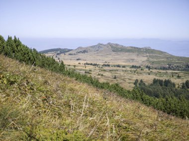 Bulgaristan 'ın Vitosha Dağı' nın şaşırtıcı sonbahar manzarası