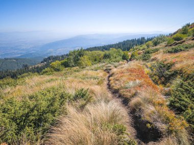 Bulgaristan 'ın Vitosha Dağı' nın şaşırtıcı sonbahar manzarası