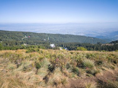 Bulgaristan 'ın Vitosha Dağı' nın şaşırtıcı sonbahar manzarası