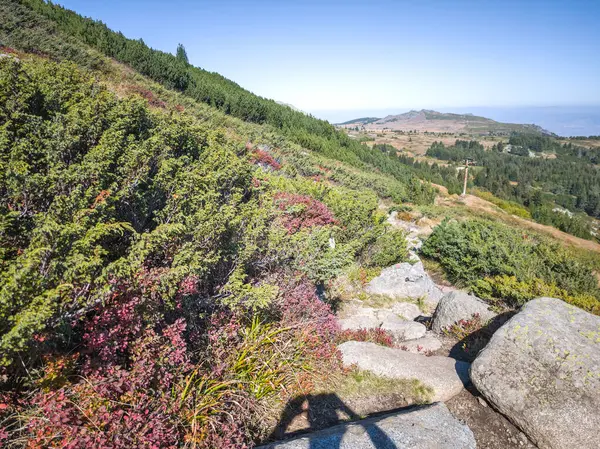Bulgaristan 'ın Vitosha Dağı' nın şaşırtıcı sonbahar manzarası