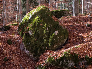 harika sonbahar manzarası, rila dağı, bulgaria