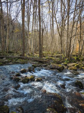harika sonbahar manzarası, rila dağı, bulgaria